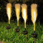 Dogtail Grass2