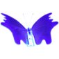 Iron butterfly5