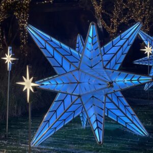 Polaris Landscape Lights