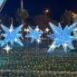 Polaris Landscape Lights2