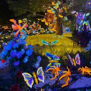 Static Simulation Butterfly