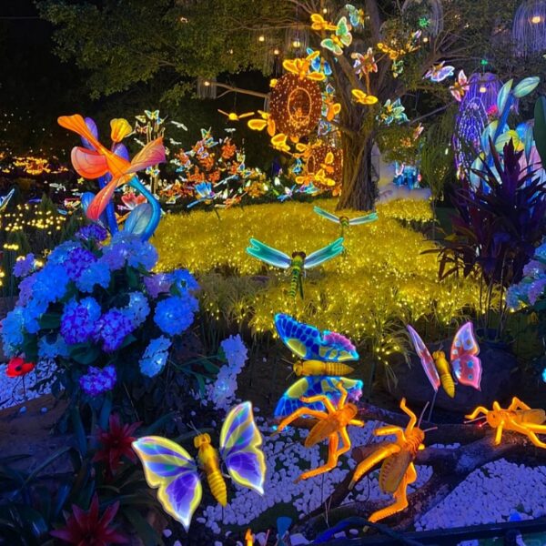 Static Simulation Butterfly5