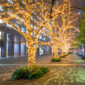 String lights2