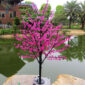 Willow tree1