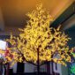 Willow tree3