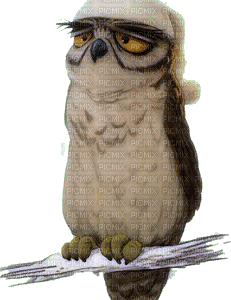 HYW-031009 Dynamic Owl