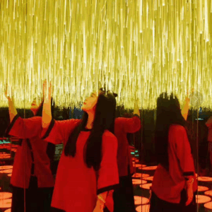 HYC-021010 Infinite flower sea（暂时缺图）