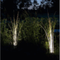 Acrylic Landscape Reed Light