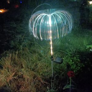 HYW-011039 Dandelion Ground Plug lamp