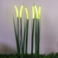 Dogtail Grass lamp 5