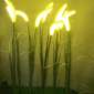 Dogtail Grass lamp