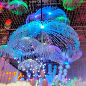 HYC-021009 Jellyfish light