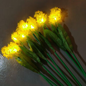 HYW-011109 Rapeseed Lantern