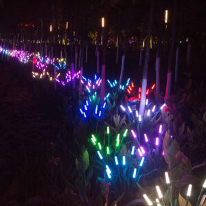 HYW-011080 Reed Light