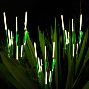 HYW-011079 Reed Light
