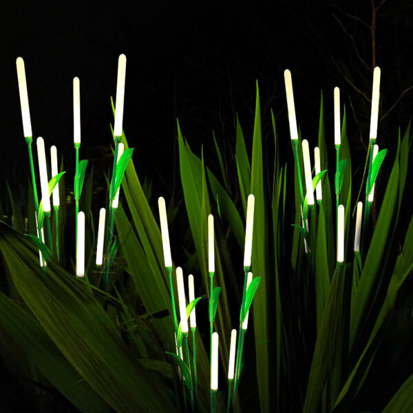 Reed Light