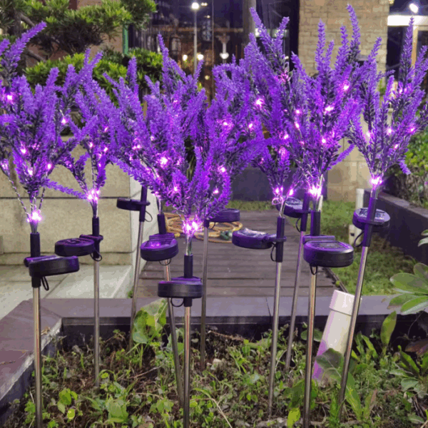 Solar Powered Lavender Ground Light