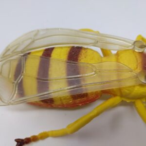 HYW-031018 Dynamic Simulation Cicada