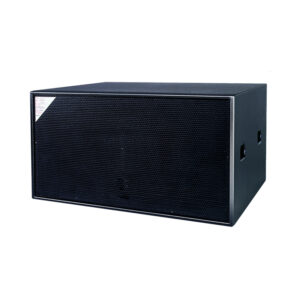 Dual 18-inch Subwoofer--D08
