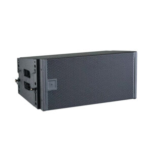 Dual 10-inch neodymium magnetic line array -D10