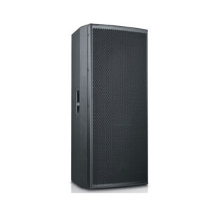 Dual 15-inch Entertainment Speaker---R25